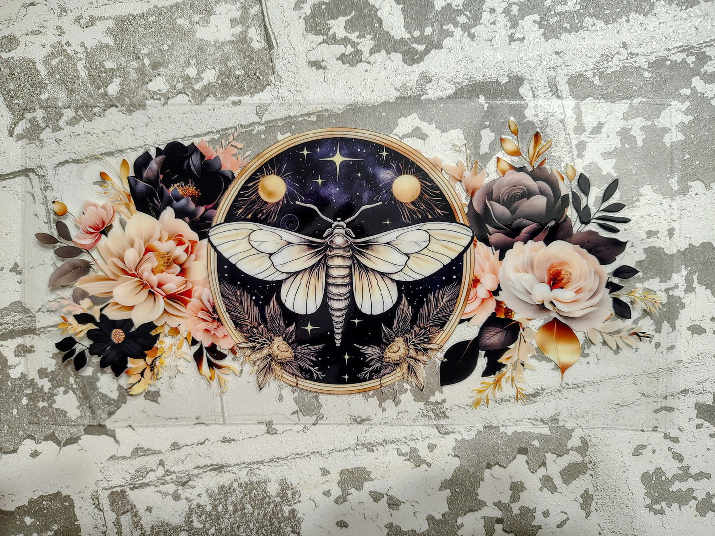 Honey Bee Hive