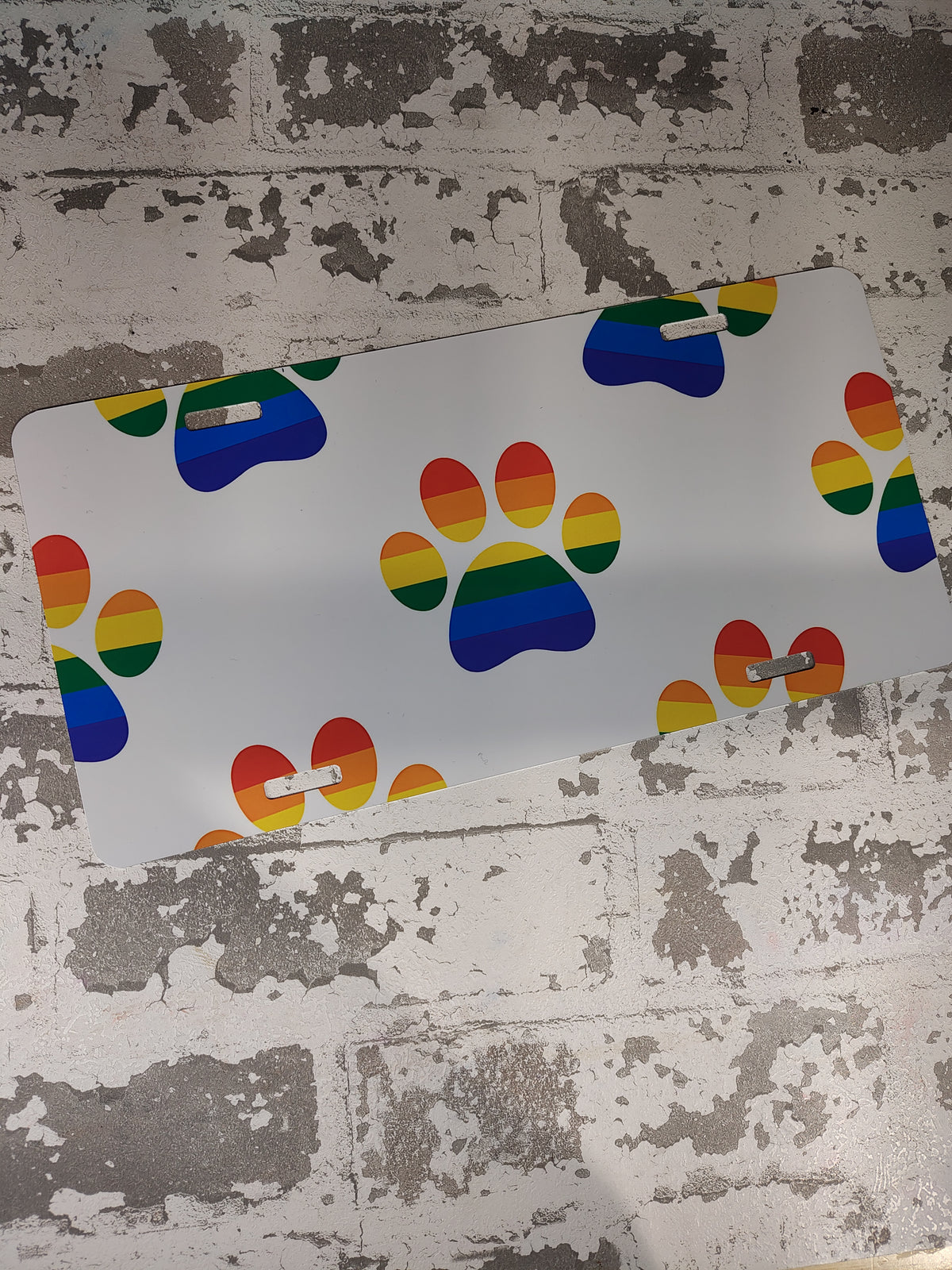1351- Rainbow Paws