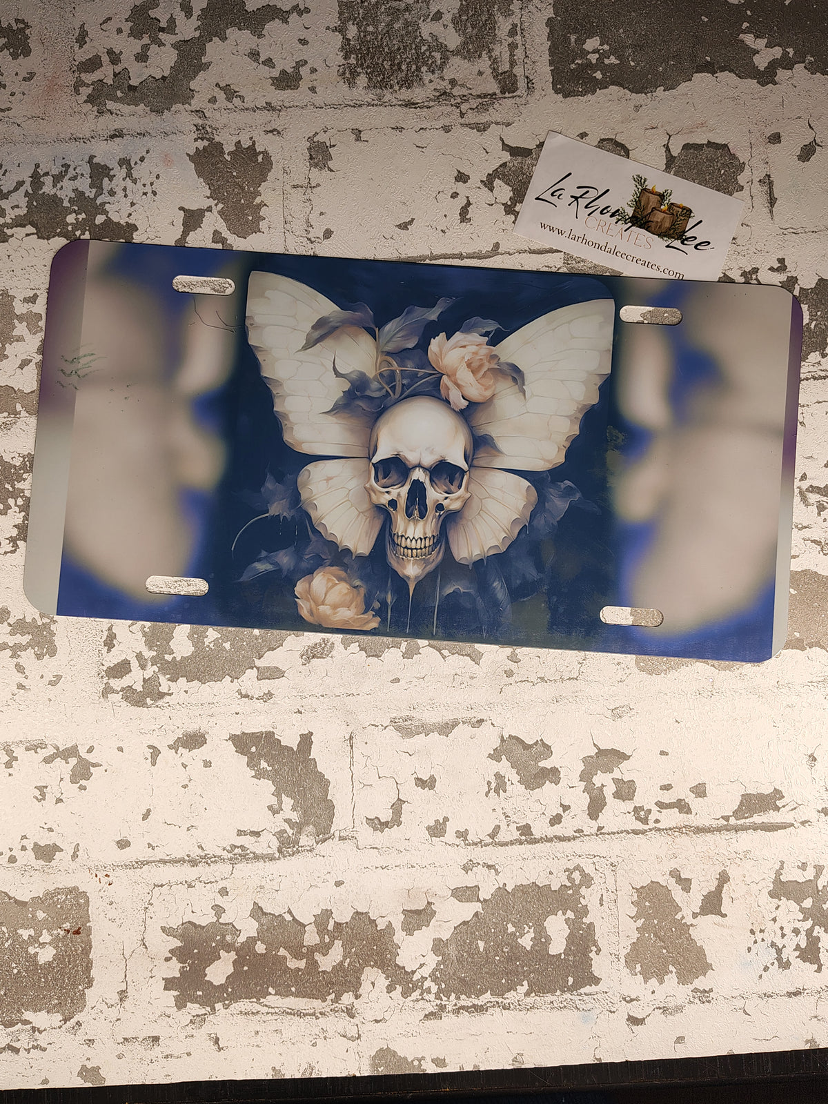 1073-Skull and Moth