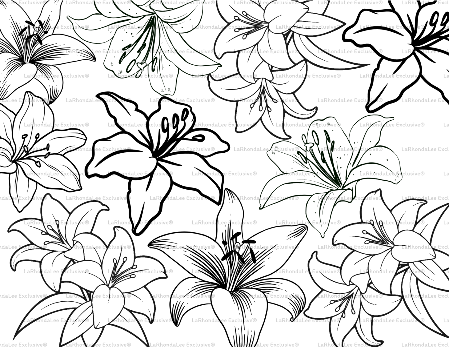 LLE Fantasy Template
