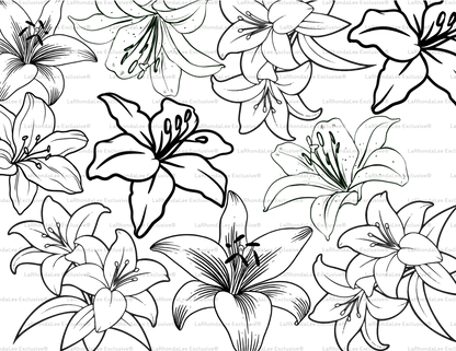 LLE Fantasy Template