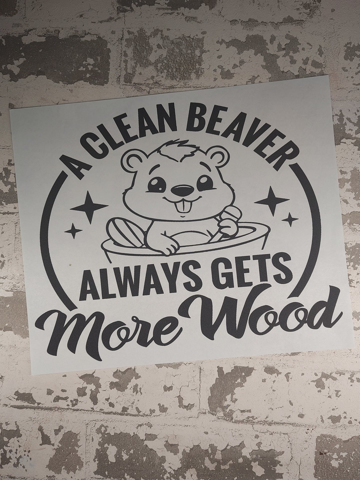 198- A Clean Beaver