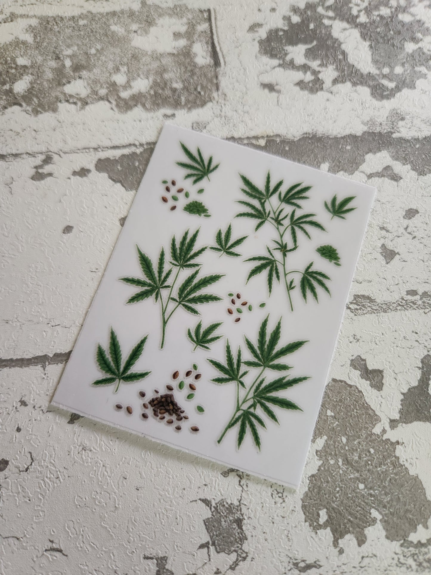 🍃🍃😤