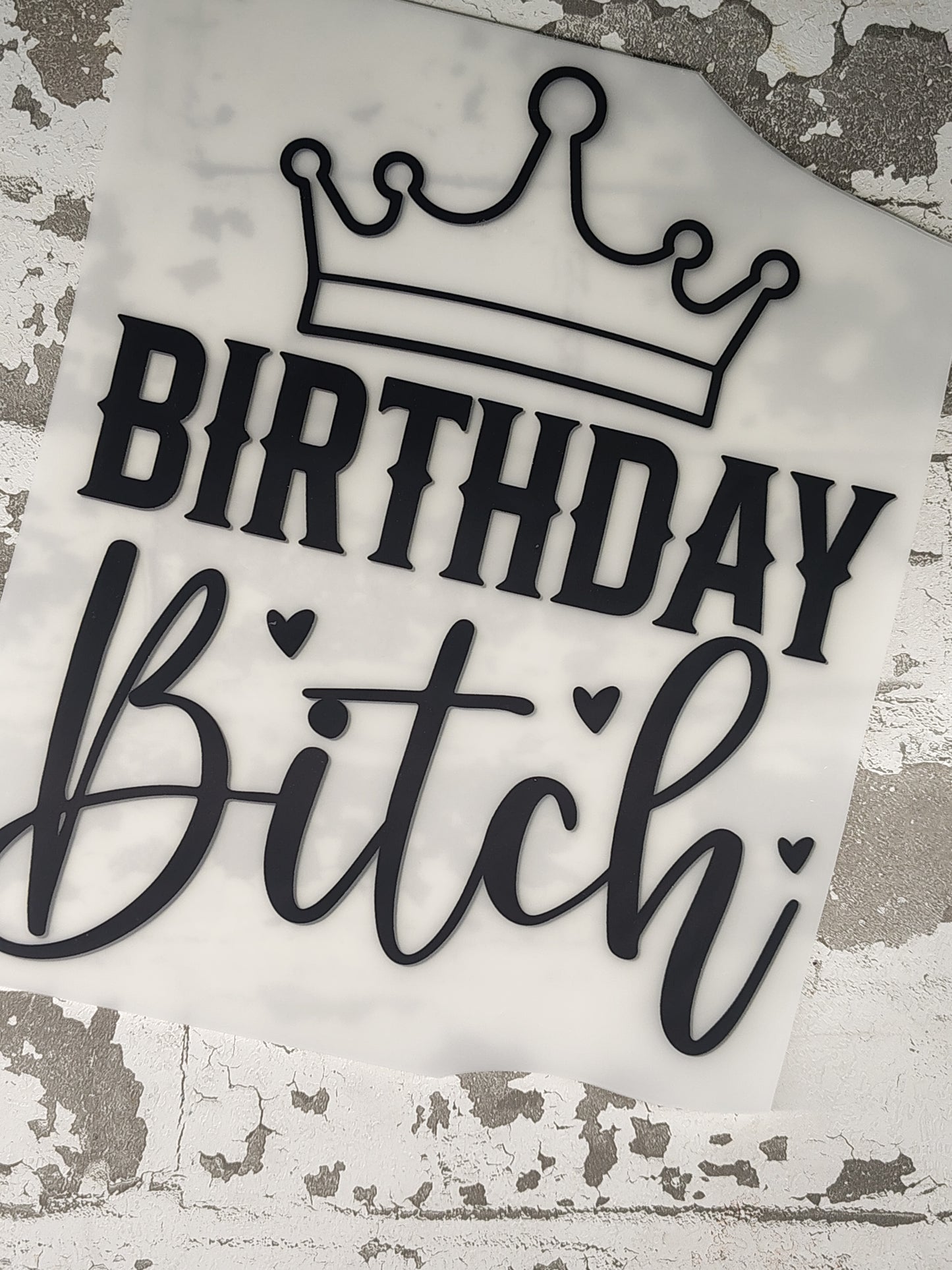 358- Not 1 Fuck/ Bday Bitch