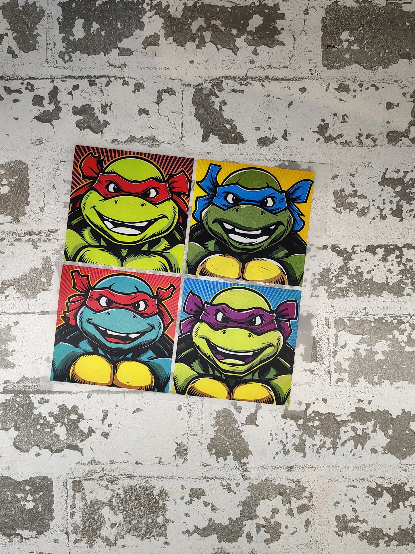 146-Turtles (youth)